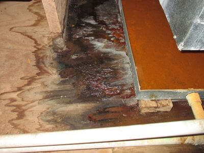 About Chippewa Falls Water Damage Restoration - water damage restoration experts in Chippewa Falls